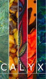 CALYX Art Bars