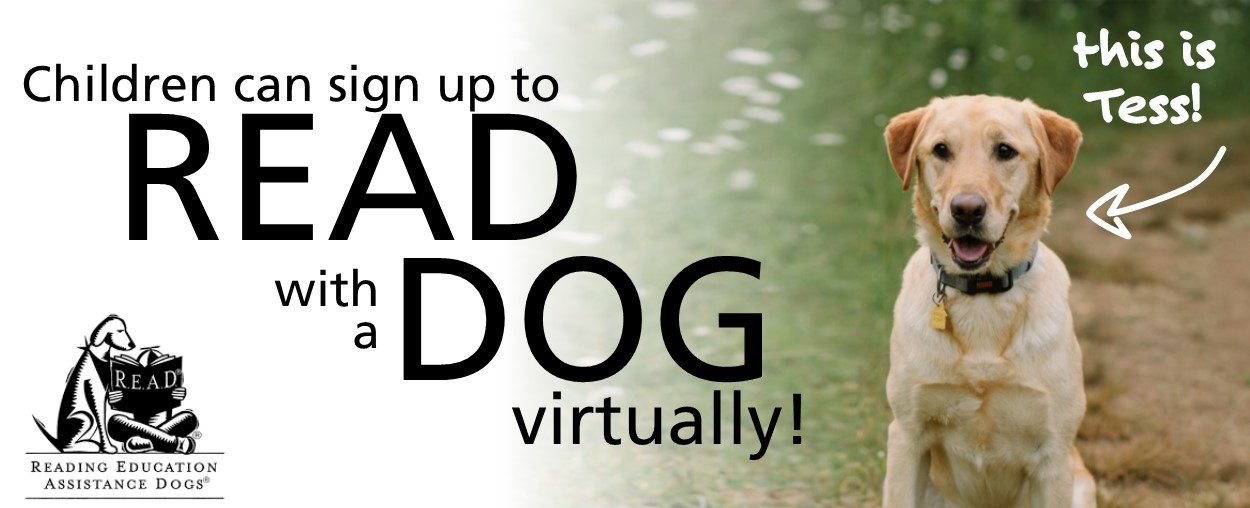 Children can sign up to read with a dog, virtually!