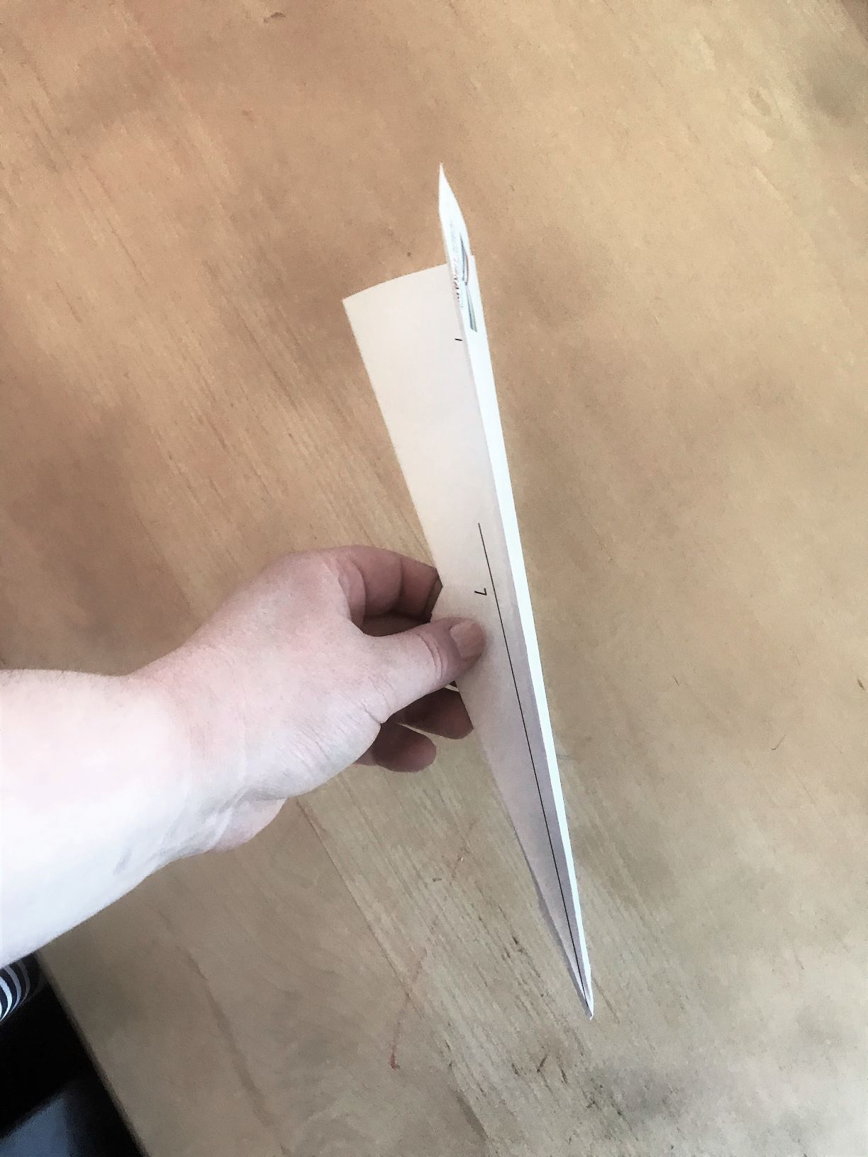 Photo of finished paper airplane