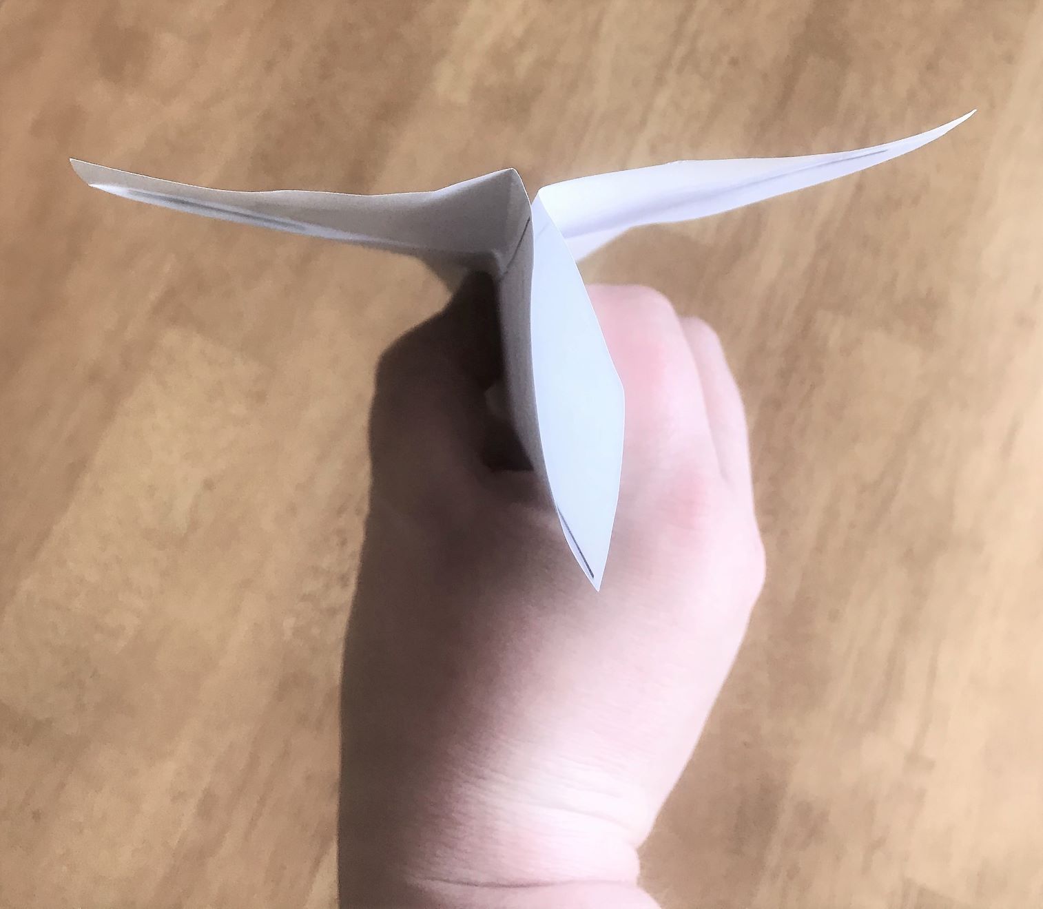 Photo of paper airplane step 6